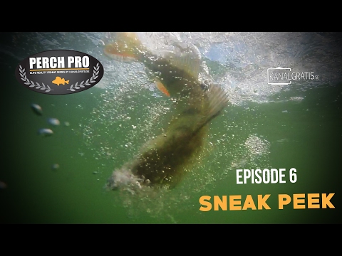 Perch Pro 2017 - Sneak Peek Ep. 6 - Kanalgratis.se