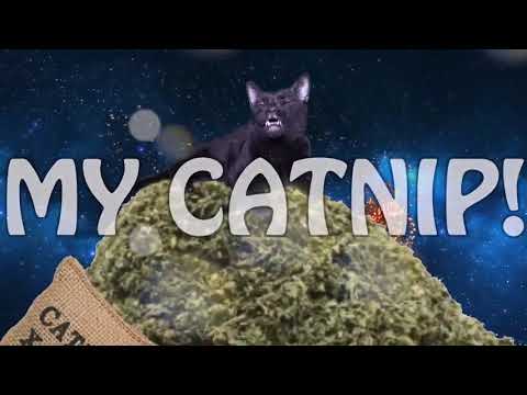 sylvester the cat  i don't give a damn about christmas    (a song video)