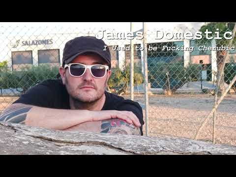 James Domestic: I Used to Be Fucking Cherubic