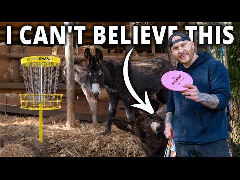 I Flew 2,500 Miles Just To Play One Disc Golf Course