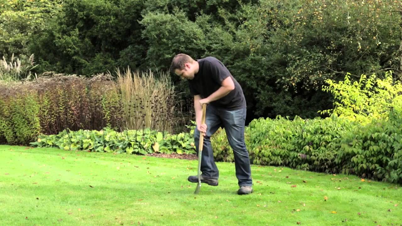 How to get a thicker lawn - Gro-Sure