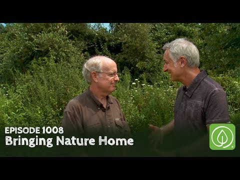 image from Growing A Greener World video Bringing Nature Home, select to view video