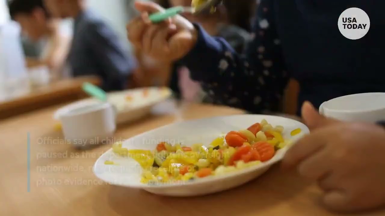 HHS freezes Minnesota childcare funds amid fraud claims