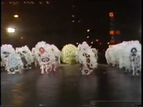 1981 Saturnalian Fancy Brigade "Commanche" - 16th Place