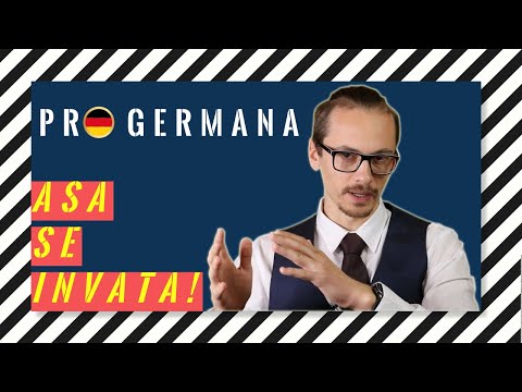 🇩🇪 Learn CASES once and for all | Pro Germana | Lesson 8 |