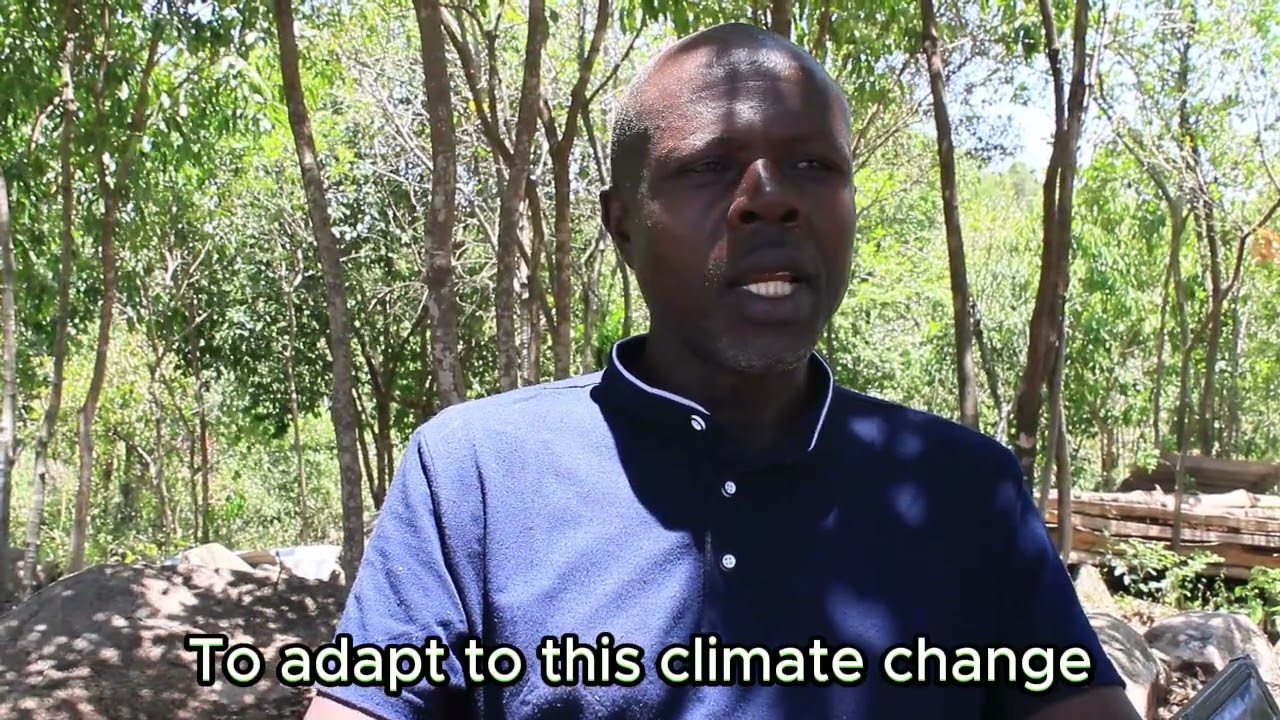 CREATS Women Empowerment