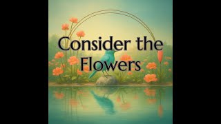 Consider the Flowers
