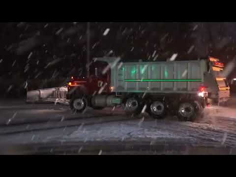 Arctic Blast and Snow