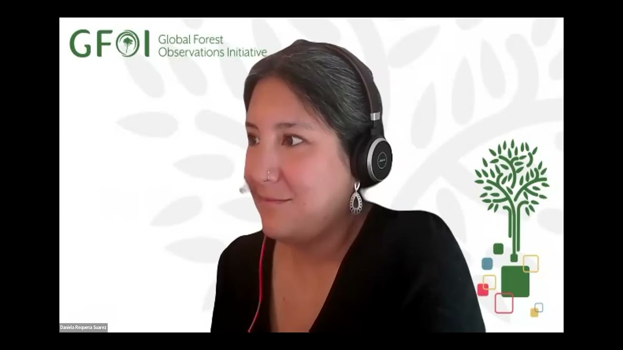 GFOI R&D Exchange: Country-identified R&D needs for forest and land monitoring