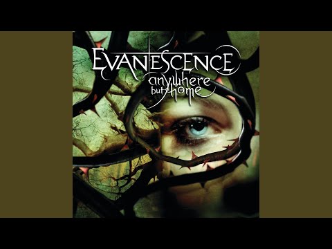 Video thumbnail for Taking Over Me (Live from Le Zénith, France 2004)