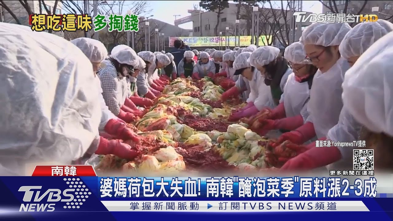 婆媽荷包大失血! 南韓「醃泡菜季」白菜漲2到3成