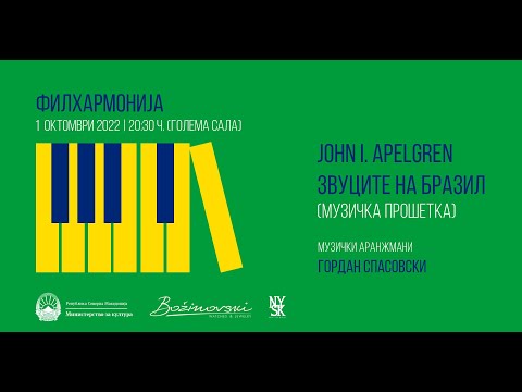 Silêncio (Edu Lobo, Vinicius de Moraes) - John I. Apelgren in concert