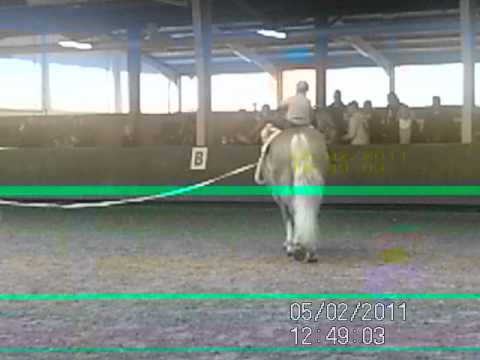 Voltitag Vreden am 22.04.2012 Gruppe 5 Kür + Auslaufen