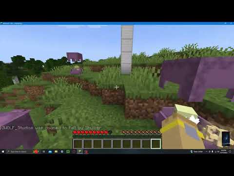 Make a shulker box challenge!