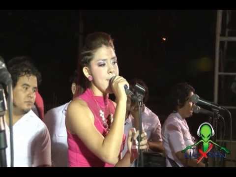 amor ilegal la unica tropical HD