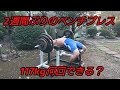 2週間ぶりのベンチプレス!パワーは維持できるか!?