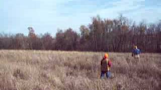 preview picture of video 'pheasant hunting.mov'