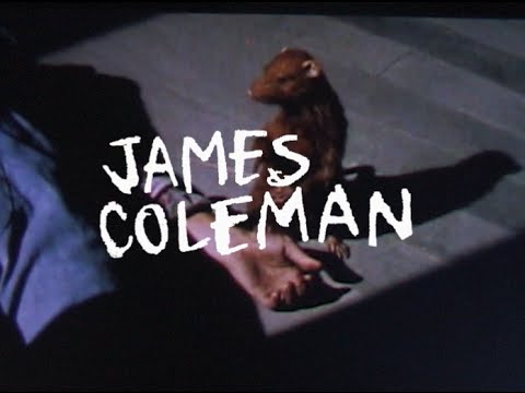 Reproducir vídeo