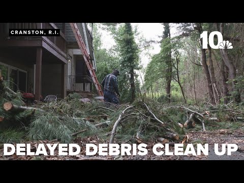 Tree troubles at Dean Estates come to an end