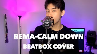 BIGMAN l Calm Down (Beatbox Cover)