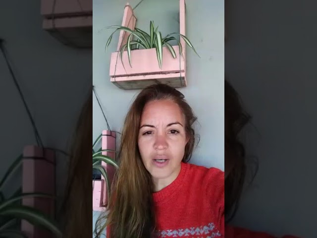 video testimonio