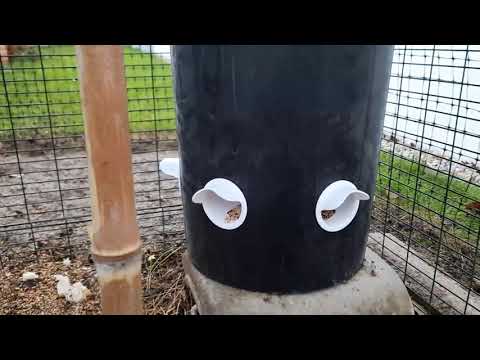 Hühnerfutterspender XXL selber bauen
