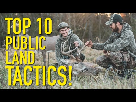 Our TOP 10 PUBLIC LAND Tactics for Whitetails!