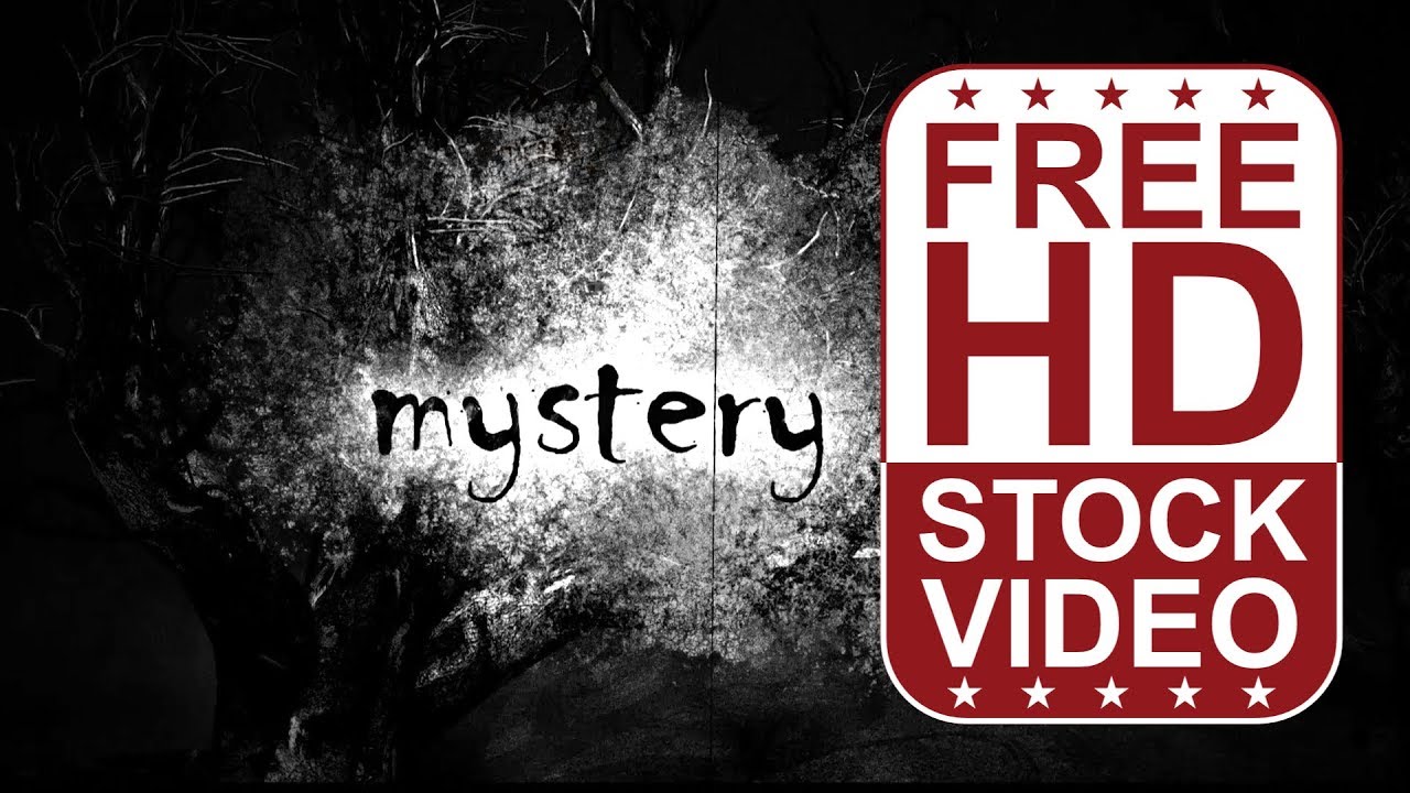 Free Stock Videos –Dark creepy forest 3D animation with title effects