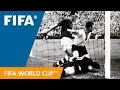 Argentina 1-3 Germany FR | 1958 World Cup | Match Highlights