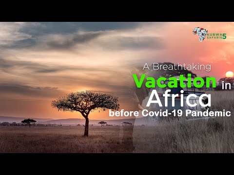 My Safari Vacation In Africa (Rwanda And Uganda) In 2020 Before The COVID-19 Lockdown