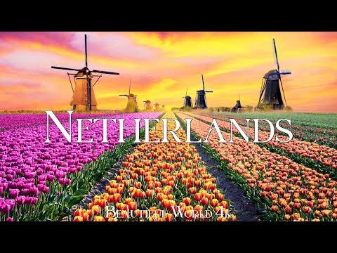 Netherlands 4K Spring Nature Film - Calming Piano Music - Beautiful Nature
