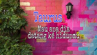 Download lagu TAURUS🔹DIA YANG DATANG PADAMU 2020🔹#marianalo#tarotindonesia#taurus2020#ramalan mp3 Download lagu TAURUS🔹DIA YANG DATANG PADAMU 2020🔹#marianalo#tarotindonesia#taurus2020#ramalan mp3