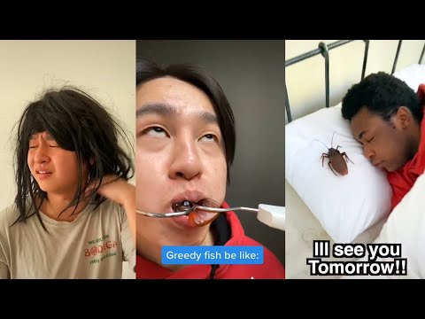 *1 HOUR* Best Zhong and His Friends Funny Videos | Zhong Shorts Videos 2022 - Shorts Comps