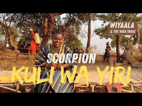 "Even if there is a scorpion waiting for you, go home and accept the sting" Wiyaala & The Yaga Yagas