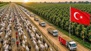Türkiye, Çorak Toprakları Milyarlarca Dolarlık Bir Servete Nasıl Dönüş