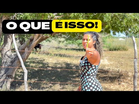 Um LUGAR DIFERENTÃO do RIO GRANDE DO NORTE de KOMBI HOME