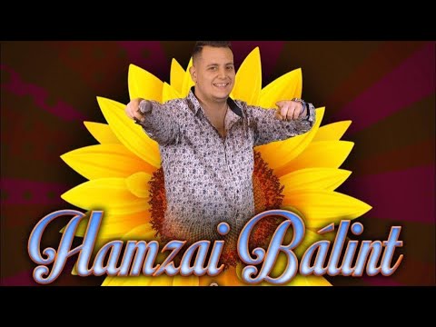 Hamzai Bálint és barátai 3. Rész🔥
