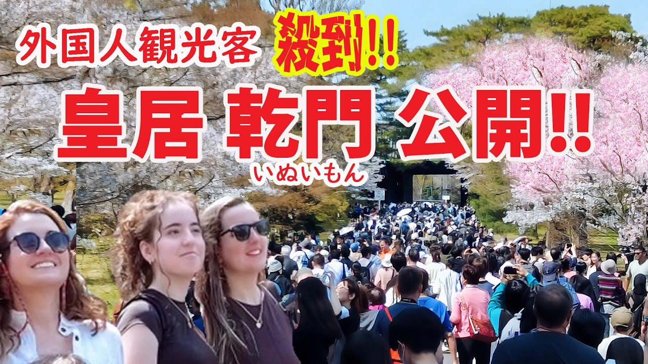 【絶景 いまだけ！】桜満開!!外国人 皇居の桜に感動!!皇居 乾門 一般公開！#sakura #japan #tokyo