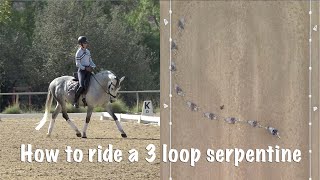 The 3 Loop Serpentine: Basic Dressage Moves!