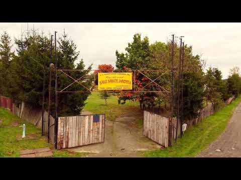 Baile Sarate, Jabenita, Mures - Luiza Gheorghiu