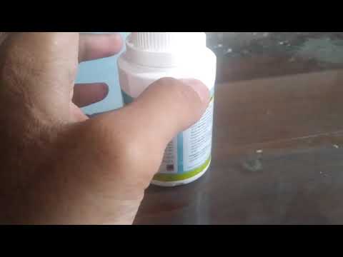 Cara Ampuh Membasmi Kutu Kucing Dalam Rumah