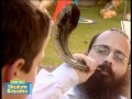 Shalom Sesame Gali S New Beginnings