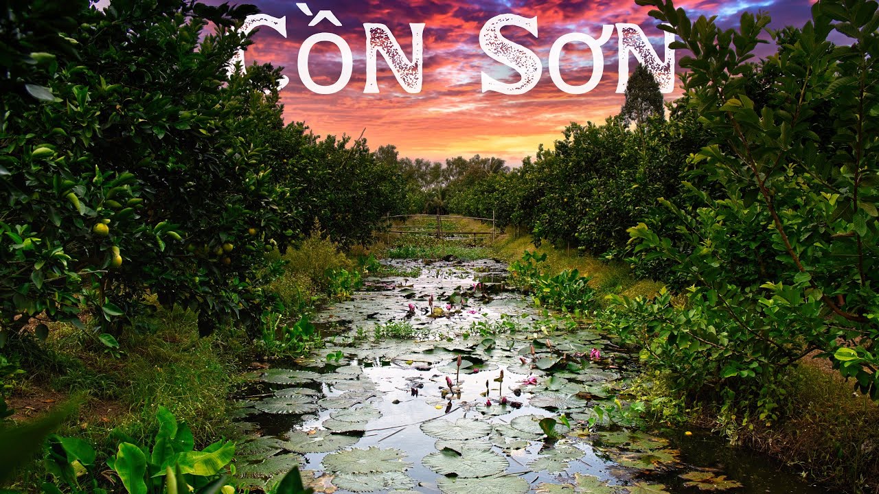 Join travelers on a journey to Con Son Island.