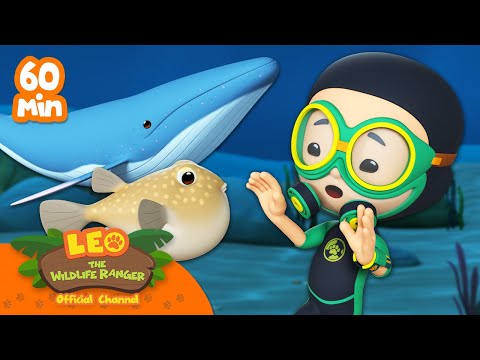 Witness21  2023 08 06