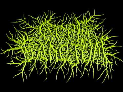 GORE SANCTUM - Mutilated Victims of the Dangerous and Pure