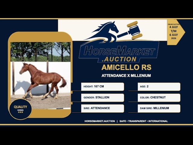 Amicello RS