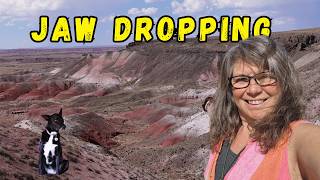 Petrified Forest National Park / Stunning Arizona Stops on Our RV Adventure