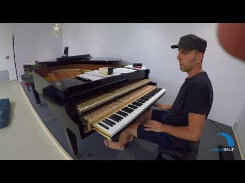 ARTScience MedILS: behind the scenes of LP Duo concert