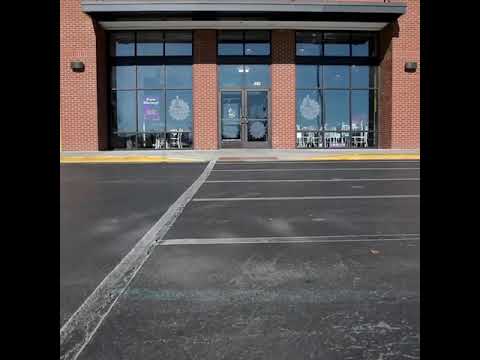 Perro fitness - ed sheran