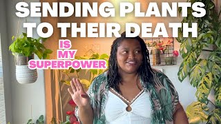 PLANT CHORES repotting, water propagations, and plant updates